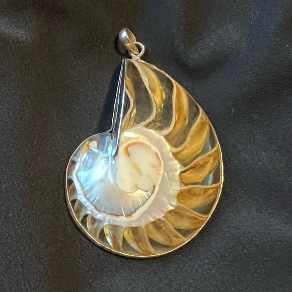 Nautilus Shell Pendant - Picture 6 of 6